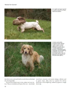 Gundog Spaniels