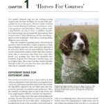 Gundog page 1