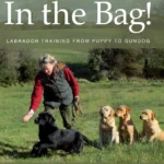 in the bag front